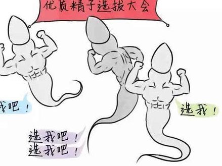 2026年北京做试管大概费用多少钱？