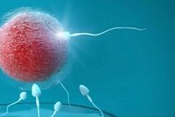 备孕期间发现老公无精子可以做试管吗？具体该怎么做？