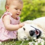 福州试管婴儿技术哪家医院更出色？