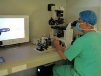 试管鲜胚移植后第六天，胚胎是否已着床？解读大白板测试结果的意义