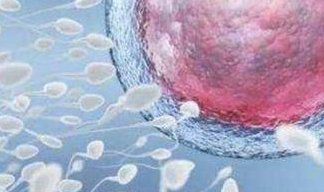 泰国曼谷SuperiorA.R.T试管婴儿医院，成功率与收费分析